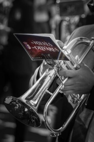 Hermandad de los Gitanos (1)