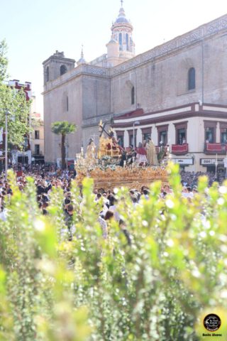 Semana Santa Sevilla 2026 (14)