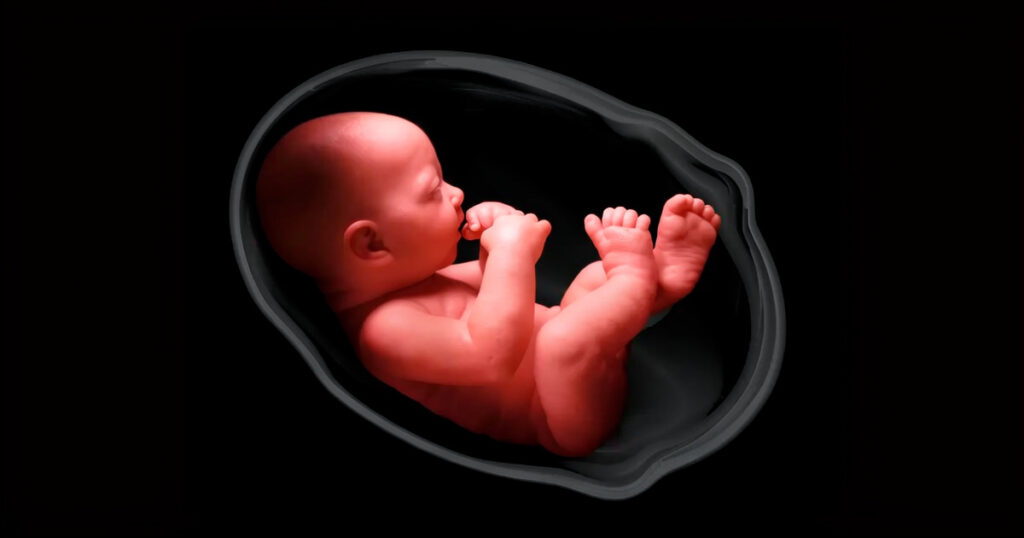 mensaje del arzobipos de sevilla sobre la modificacion de la ley del aborto