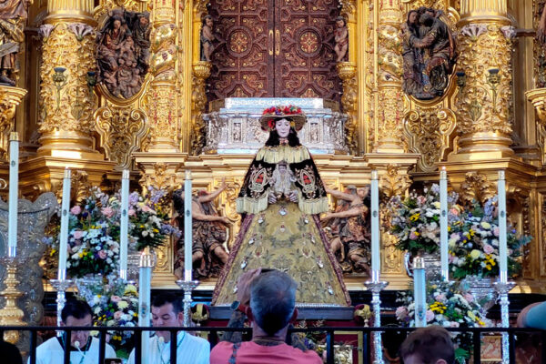 venida de la virgen del rocio 2026